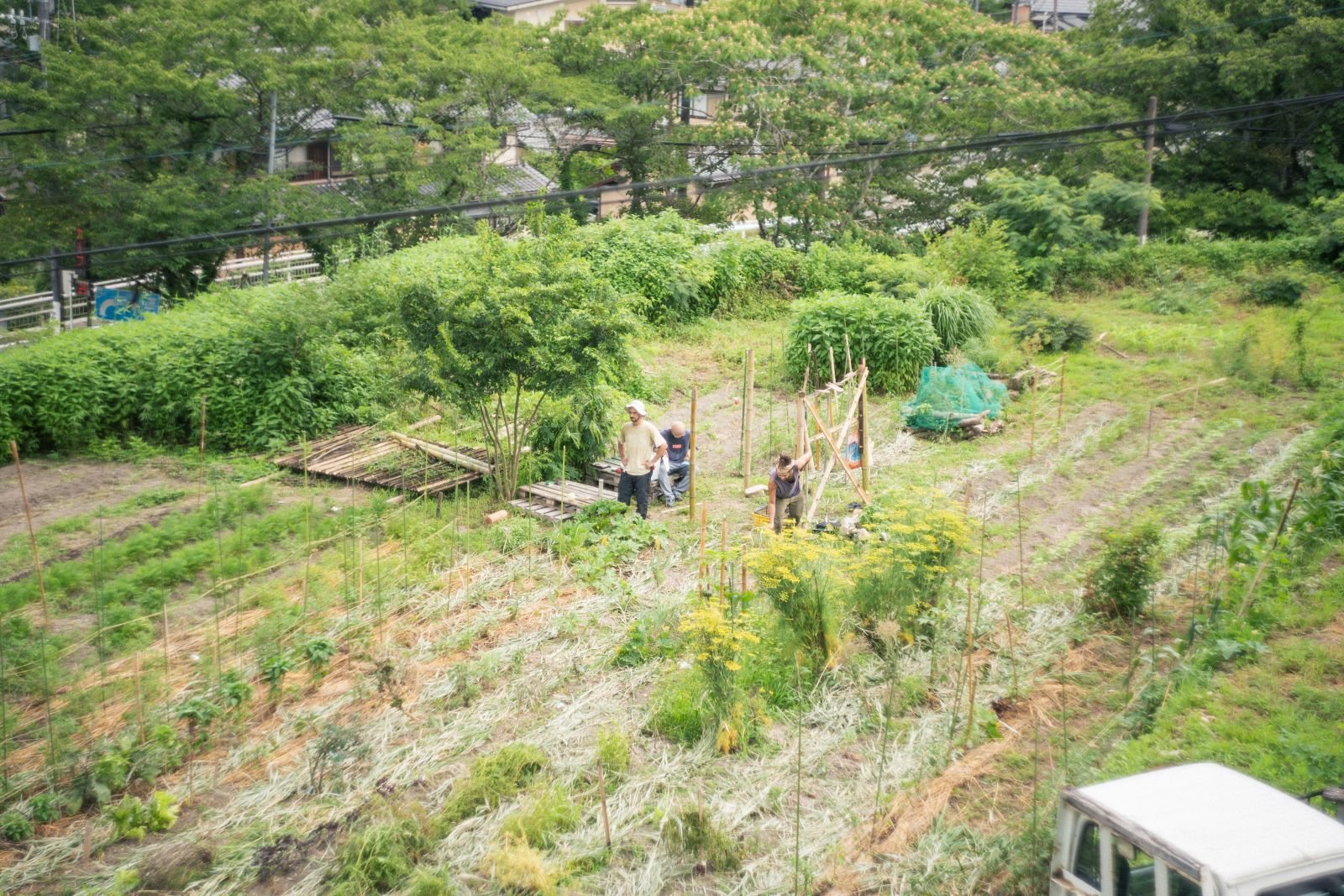 畑に立つことがやめられない！京都の耕作集団『HATAKE JUNKIE』が体現する社会からの解放