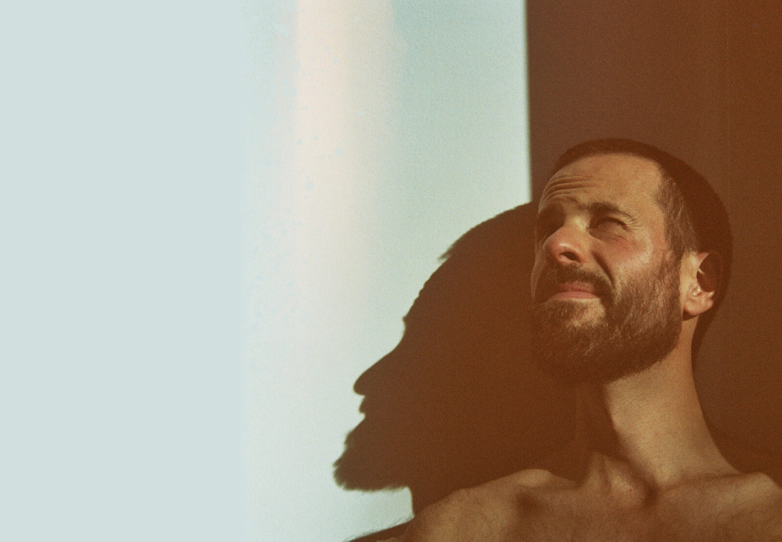 The Vernon Spring アーティスト写真